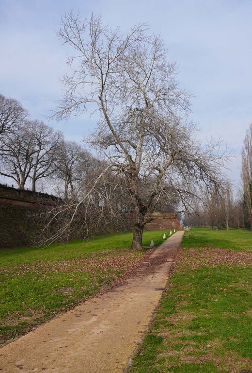 Mura caldirolo